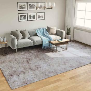 ARDEBO.de - Teppich Waschbar Grau 400x300 cm