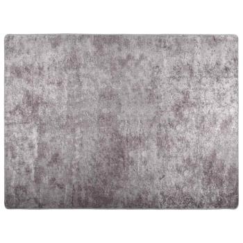 Teppich Waschbar Grau 400x300 cm