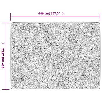 Teppich Waschbar Grau 400x300 cm