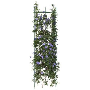 ARDEBO.de - Tomatenkäfig 2 Stk. 116 cm Stahl und PP