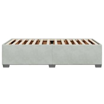 Bettgestell ohne Matratze Hellgrau 100x200 cm Samt