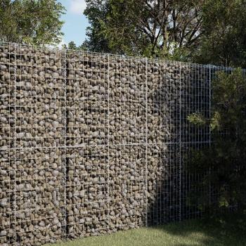 ARDEBO.de - Gabione mit Deckel 100x50x200 cm Verzinktes Eisen