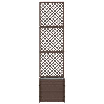 Garten-Spalier-Pflanzer Braun 35 x 30 x 135 cm Metall