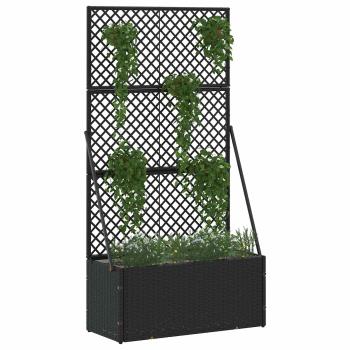 Garten-Spalier-Pflanzer Schwarz 70 x 30 x 135 cm Metall