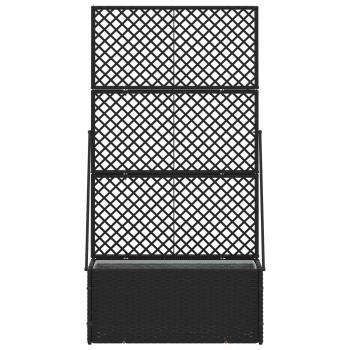 Garten-Spalier-Pflanzer Schwarz 70 x 30 x 135 cm Metall