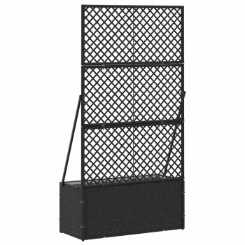 Garten-Spalier-Pflanzer Schwarz 70 x 30 x 135 cm Metall