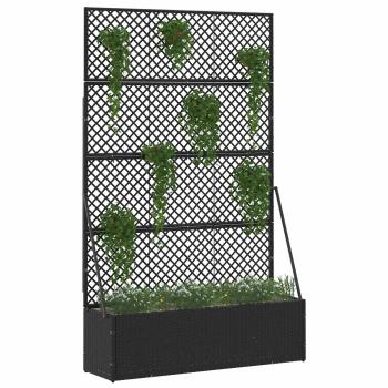 Garten-Spalier-Pflanzer Schwarz 105 x 30 x 170 cm Metall