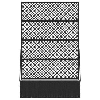 Garten-Spalier-Pflanzer Schwarz 105 x 30 x 170 cm Metall
