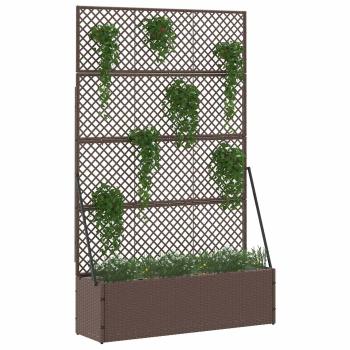 Garten-Spalier-Pflanzer Braun 105 x 30 x 170 cm Metall