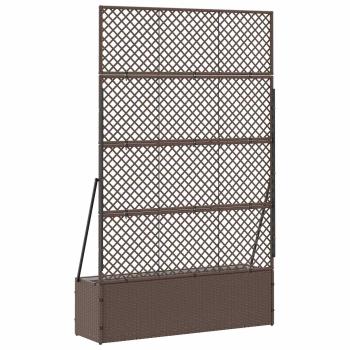 Garten-Spalier-Pflanzer Braun 105 x 30 x 170 cm Metall