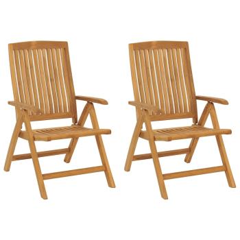 Klappstühle mit Kissen, 2 Stück, Massivholz Teak