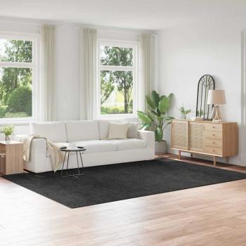 ARDEBO.de - Anti-Rutsch Shaggy Teppich Dunkelgrau 240 x 340 cm PP