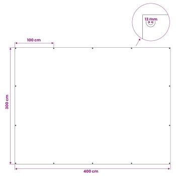 Plane mit Ösen Anthrazitgrau 3 x 4 m 260 gsm PE