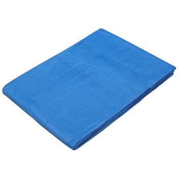 Plane mit Ösen Blau 3 x 4 m 90 gsm PE