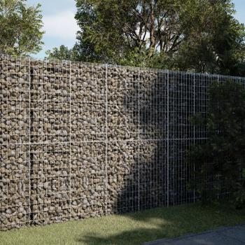 ARDEBO.de - Gabione mit Deckel 250x100x200 cm Verzinktes Eisen