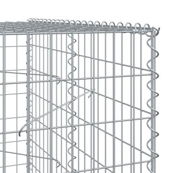 Gabione mit Deckel 300x100x200 cm Verzinktes Eisen
