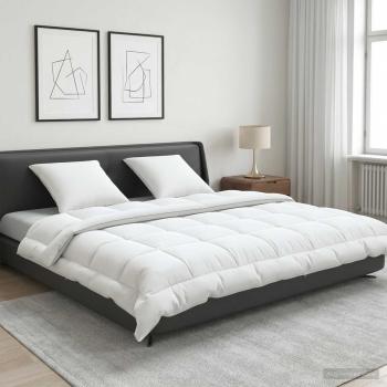 ARDEBO.de - Bettdecke und Kissen Set 3 stk. 240x260 cm Sommer 140 GSM Wolle
