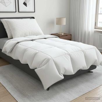 ARDEBO.de - Gänsedaunen-Bettdecken-Set 90% FULDA 3 stk. 155 x 220 cm Sommer