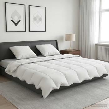 ARDEBO.de - Gänsedaunen-Bettdecken-Set 90% FULDA 3 stk. 220 x 240 cm Sommer