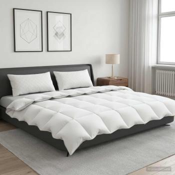 ARDEBO.de - Gänsedaunen-Bettdecken-Set 90% FULDA 3 Stk. 220 x 260 cm Weiß