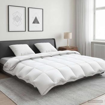 ARDEBO.de - Gänsedaunen-Bettdecken-Set 90% FULDA 3 stk. 200 x 200 cm Weiß