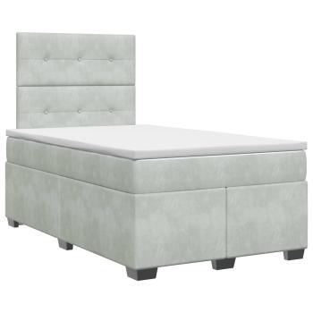 Boxspringbett mit Matratze Hellgrau 120 x 200 cm Samt