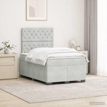 ARDEBO.de - Boxspringbett mit Matratze Hellgrau 120 x 190 cm Samt