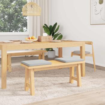 Bankkissen 2 stk. Strukturiertes Samt Hellgrau Tiefe 35 cm