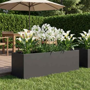 ARDEBO.de - Garten-Pflanzgefäß Schwarz 100 x 30 x 30 cm Kaltgewalzter Stahl