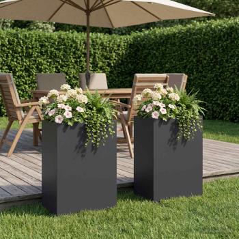 ARDEBO.de - Garten-Pflanzgefäß 2 stk. Schwarz 40 x 30 x 75 cm