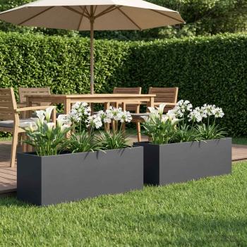 ARDEBO.de - Garten-Pflanzgefäß 2 stk. Anthrazit 80 x 30 x 30 cm