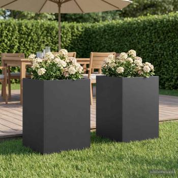 ARDEBO.de - Garten-Pflanzgefäß 2 stk. Schwarz 50 x 50 x 75 cm
