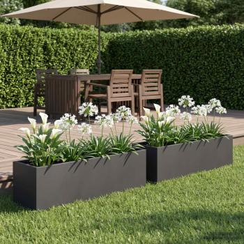 ARDEBO.de - Garten-Pflanzgefäß 2 stk. Schwarz 100 x 20 x 20 cm