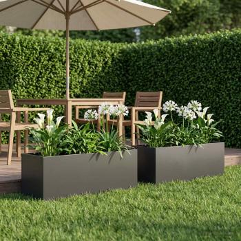 ARDEBO.de - Garten-Pflanzgefäß 2 stk. Schwarz 80 x 30 x 30 cm
