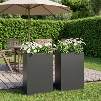 ARDEBO.de - Garten-Pflanzgefäß 2 stk. Schwarz 50 x 20 x 75 cm