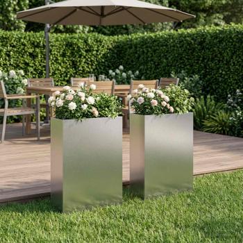 ARDEBO.de - Garten-Pflanzgefäß 2 stk. Silber 40 x 20 x 75 cm Edelstahl