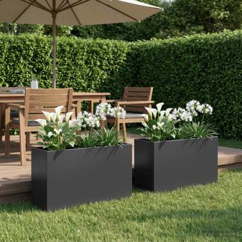 ARDEBO.de - Garten-Pflanzgefäß 2 stk. Schwarz 80 x 30 x 50 cm
