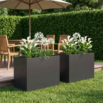 ARDEBO.de - Garten-Pflanzgefäß 2 stk. Schwarz 60 x 40 x 50 cm