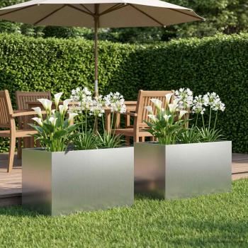 ARDEBO.de - Garten-Pflanzgefäß 2 stk. Silber 60 x 40 x 40 cm