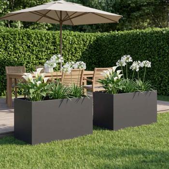 ARDEBO.de - Garten-Pflanzgefäß 2 stk. Schwarz 80 x 50 x 50 cm
