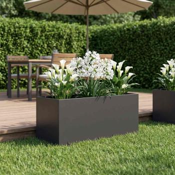 ARDEBO.de - Garten-Pflanzgefäß Schwarz 80 x 40 x 40 cm Kaltgewalzter Stahl