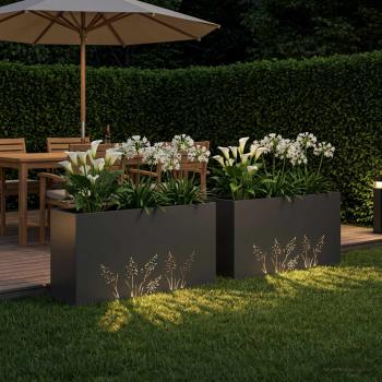 Garten-Pflanzgefäß 2 Stk. Schwarz 100 x 30 x 49 cm