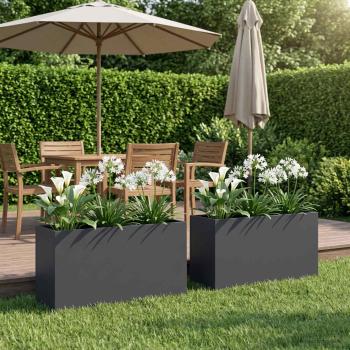 ARDEBO.de - Garten-Pflanzgefäß 2 stk. Anthrazit 100 x 30 x 50 cm