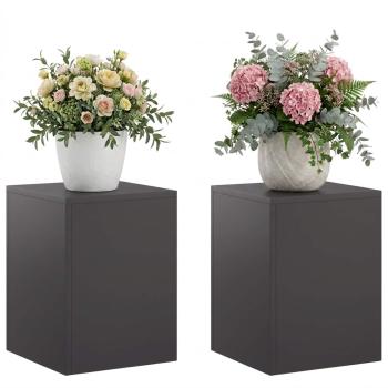 Pflanzenständer 2 pcs Schwarz 30 x 30 x 40 cm Stahl