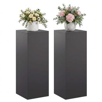 Pflanzenständer 2 pcs Schwarz 30 x 30 x 80 cm Stahl