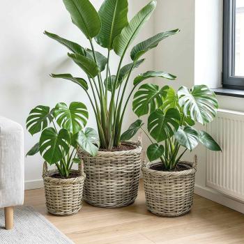 ARDEBO.de - Blumentopfkorb GENDT 3 stk. Natürliches Grau Kubu Rattan