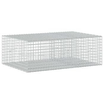 Gabione mit 5 mm Draht und 5x5 cm Maschen 150x100x50 cm