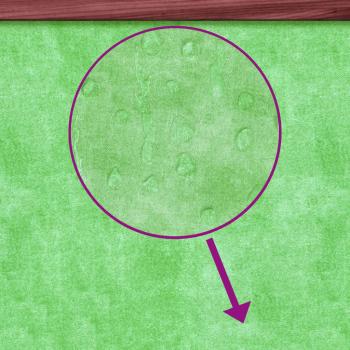 Hundehütte Mokka 96x87x80,5 cm Massivholz Kiefer