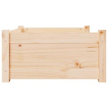 Hundebett 75,5x55,5x28 cm Massivholz Kiefer