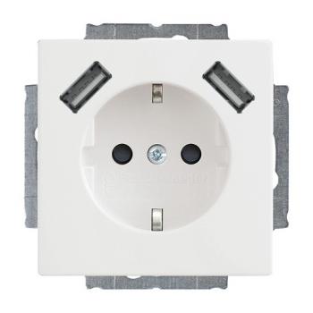ARDEBO.de - 20 EUCB2USB-84 20 EUCB2USB-84 SCHUKO® 2x USB-Steckdose